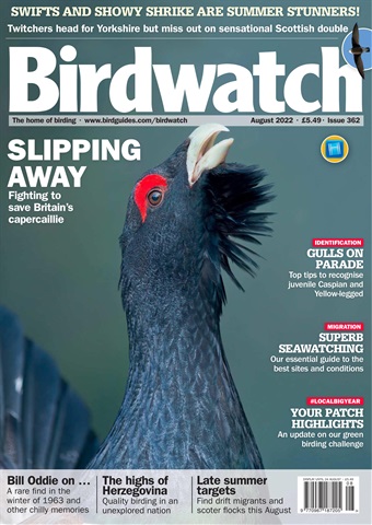 Birdwatch Magazine issue August 2022