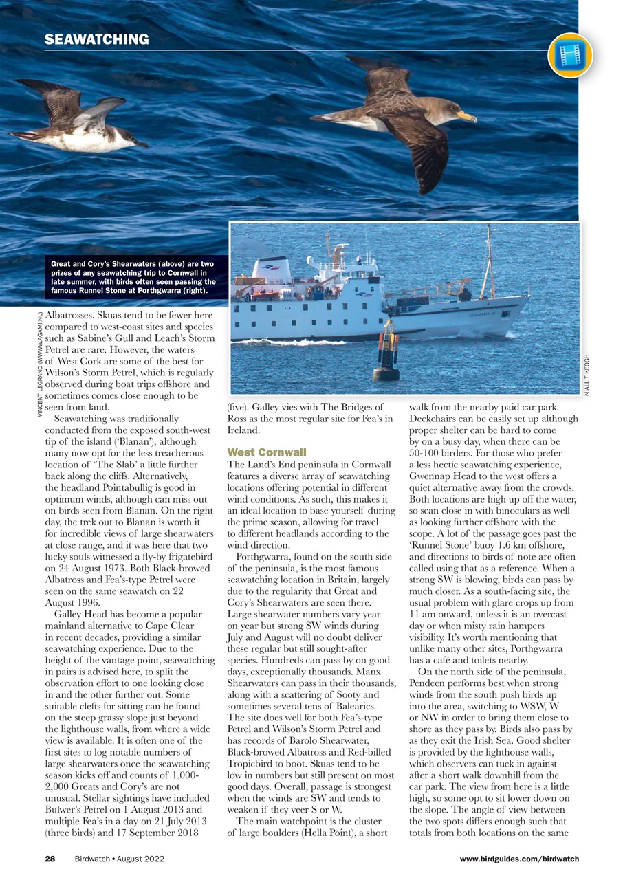 Birdwatch Magazine Preview Pages