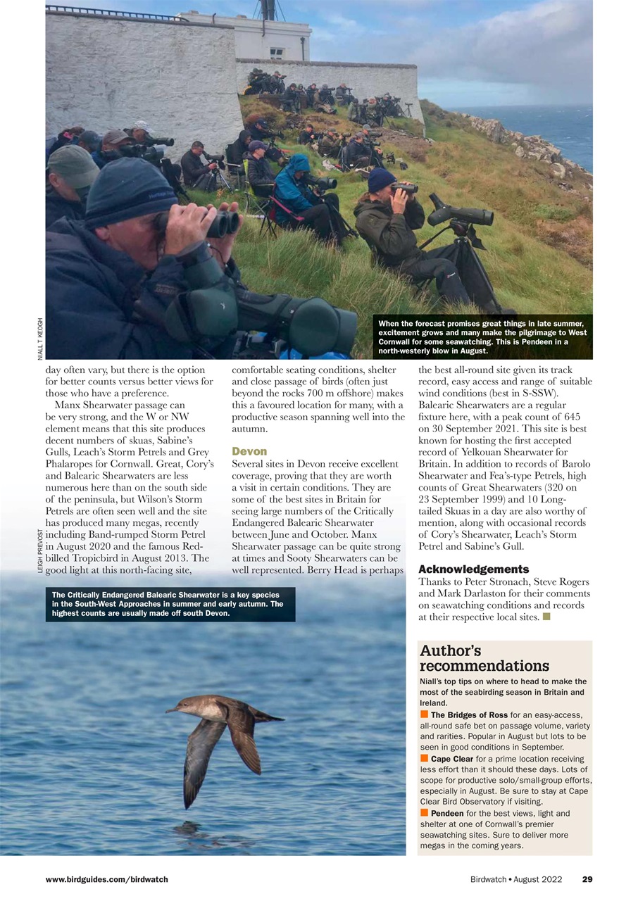 Birdwatch Magazine Preview Pages