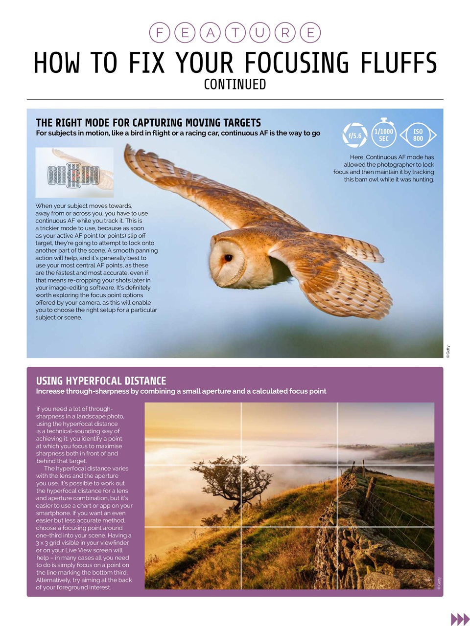 Photography Week Preview Pages