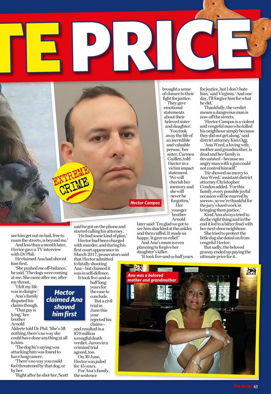 Pick Me Up Preview Pages