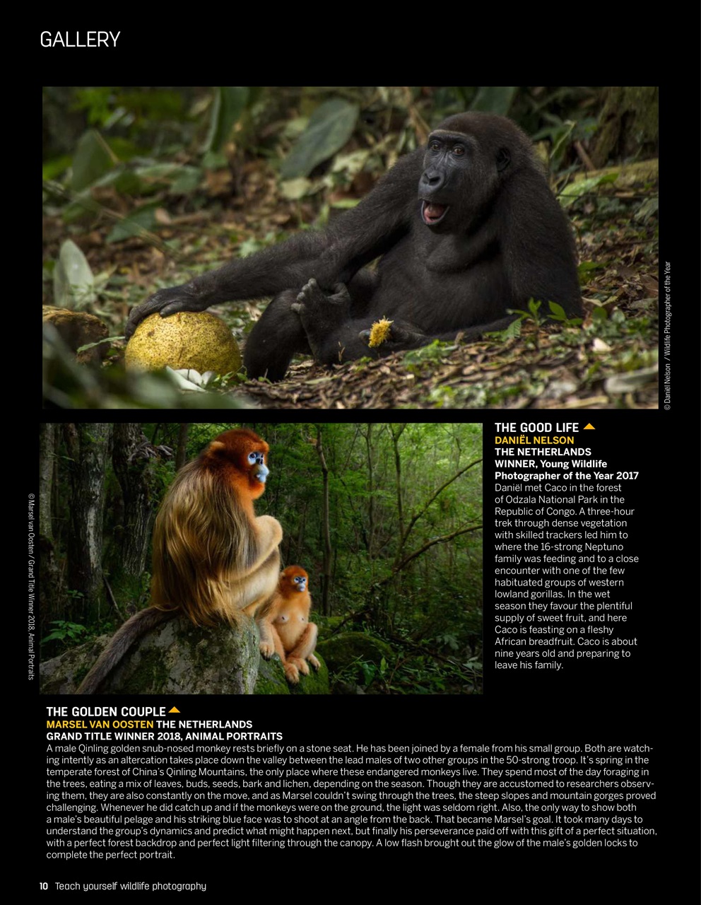 Photography Bookazine Preview Pages