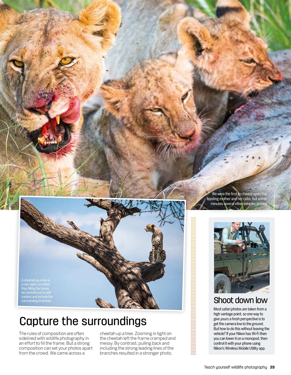 Photography Bookazine Preview Pages