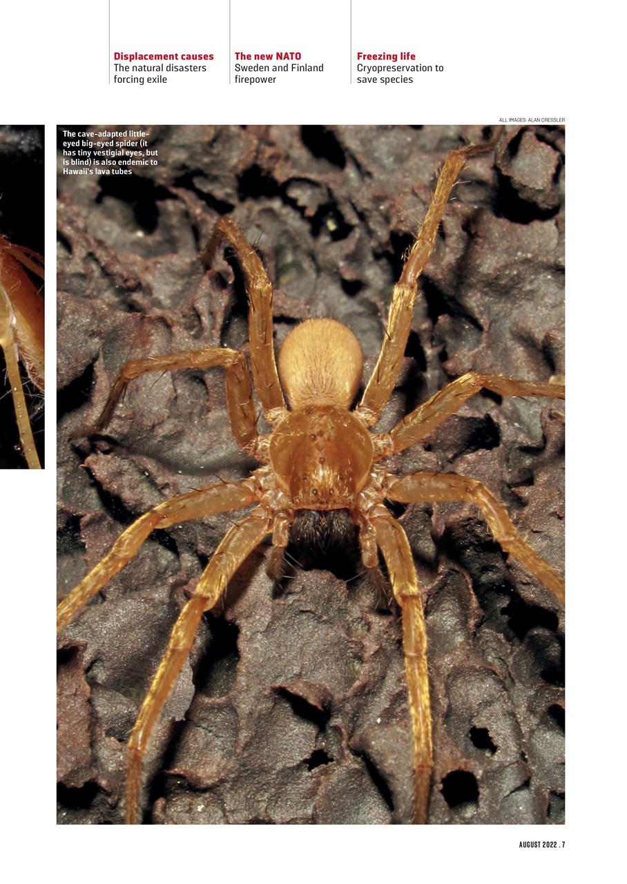 Geographical Preview Pages