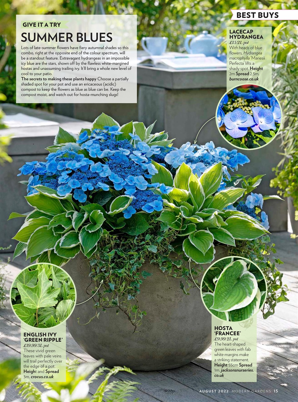 Modern Gardens Preview Pages