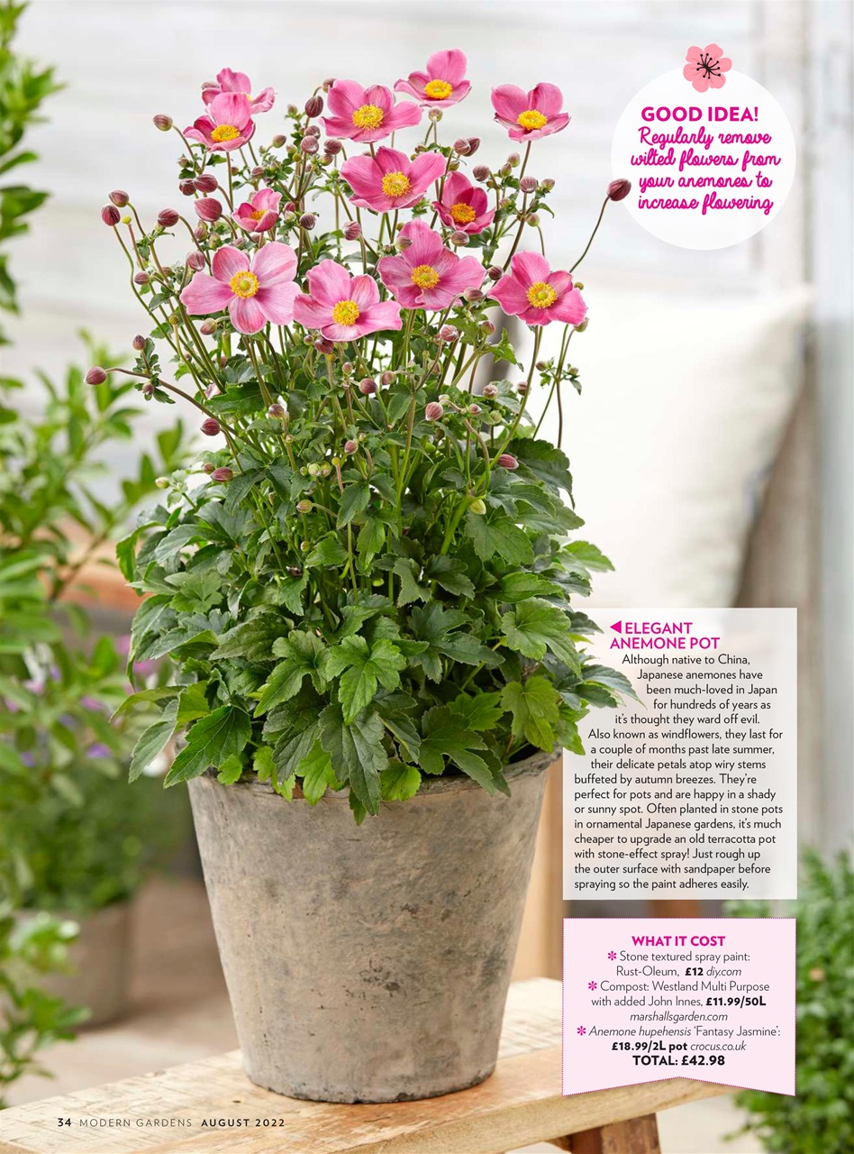 Modern Gardens Preview Pages