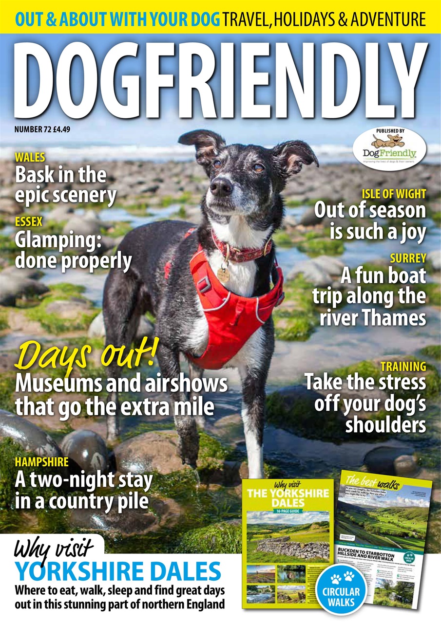 Dog Friendly Preview Pages