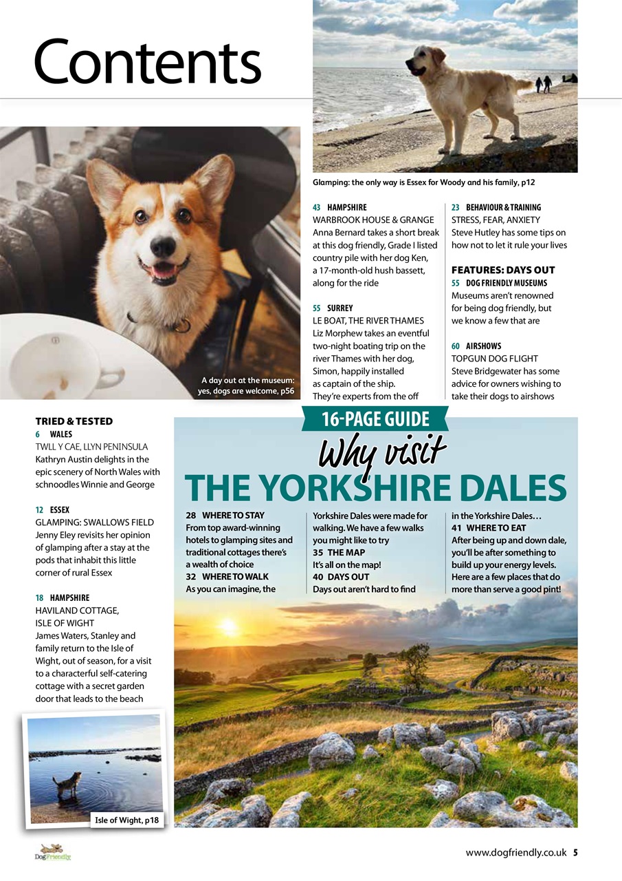 Dog Friendly Preview Pages