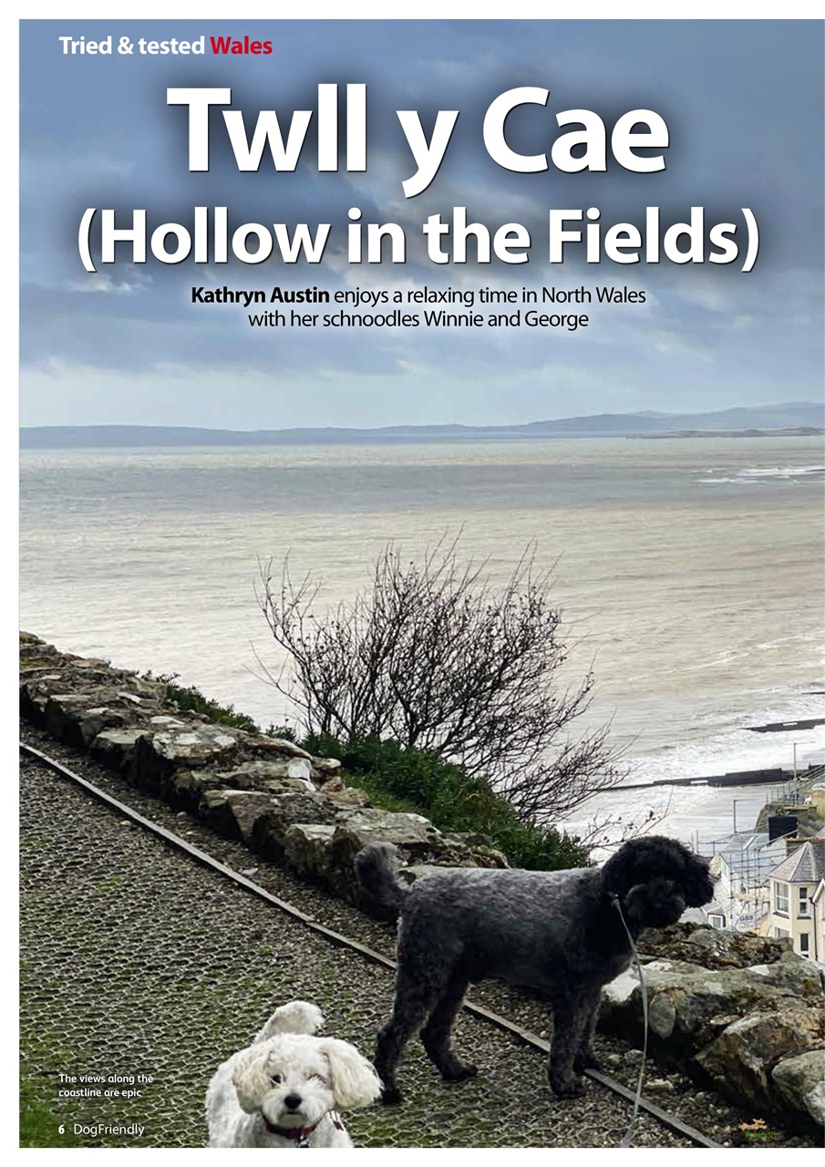 Dog Friendly Preview Pages