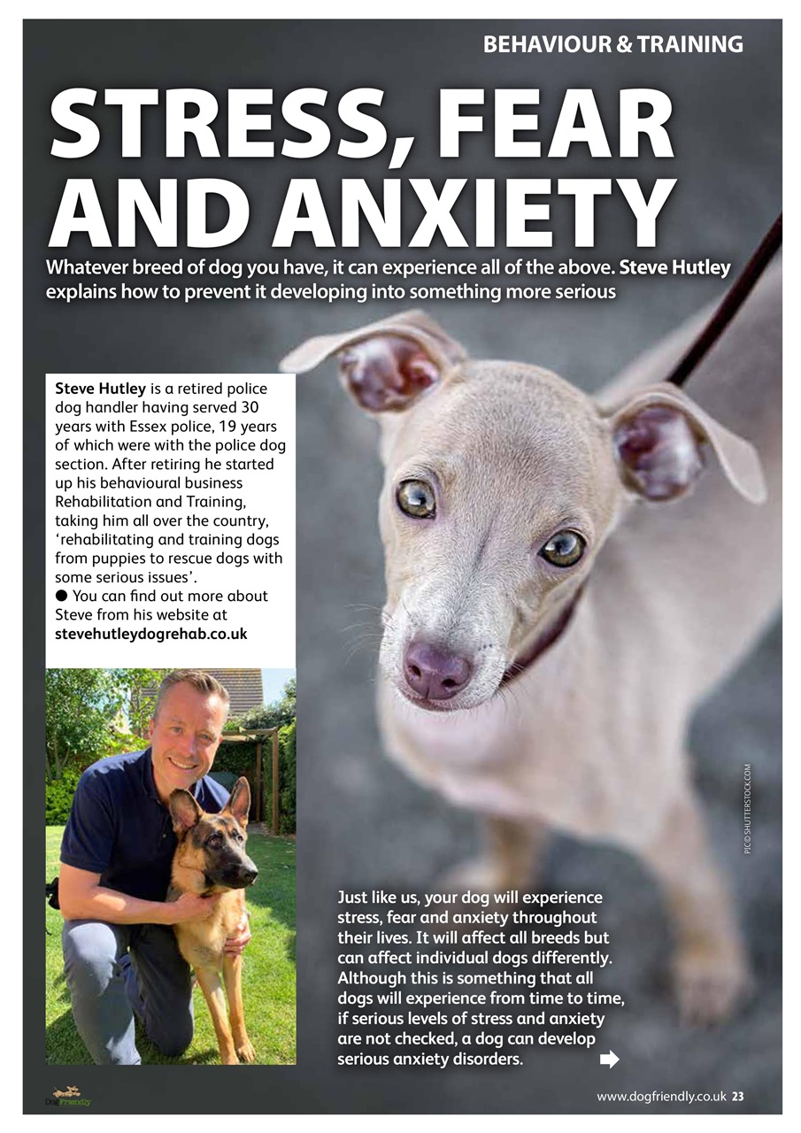 Dog Friendly Preview Pages