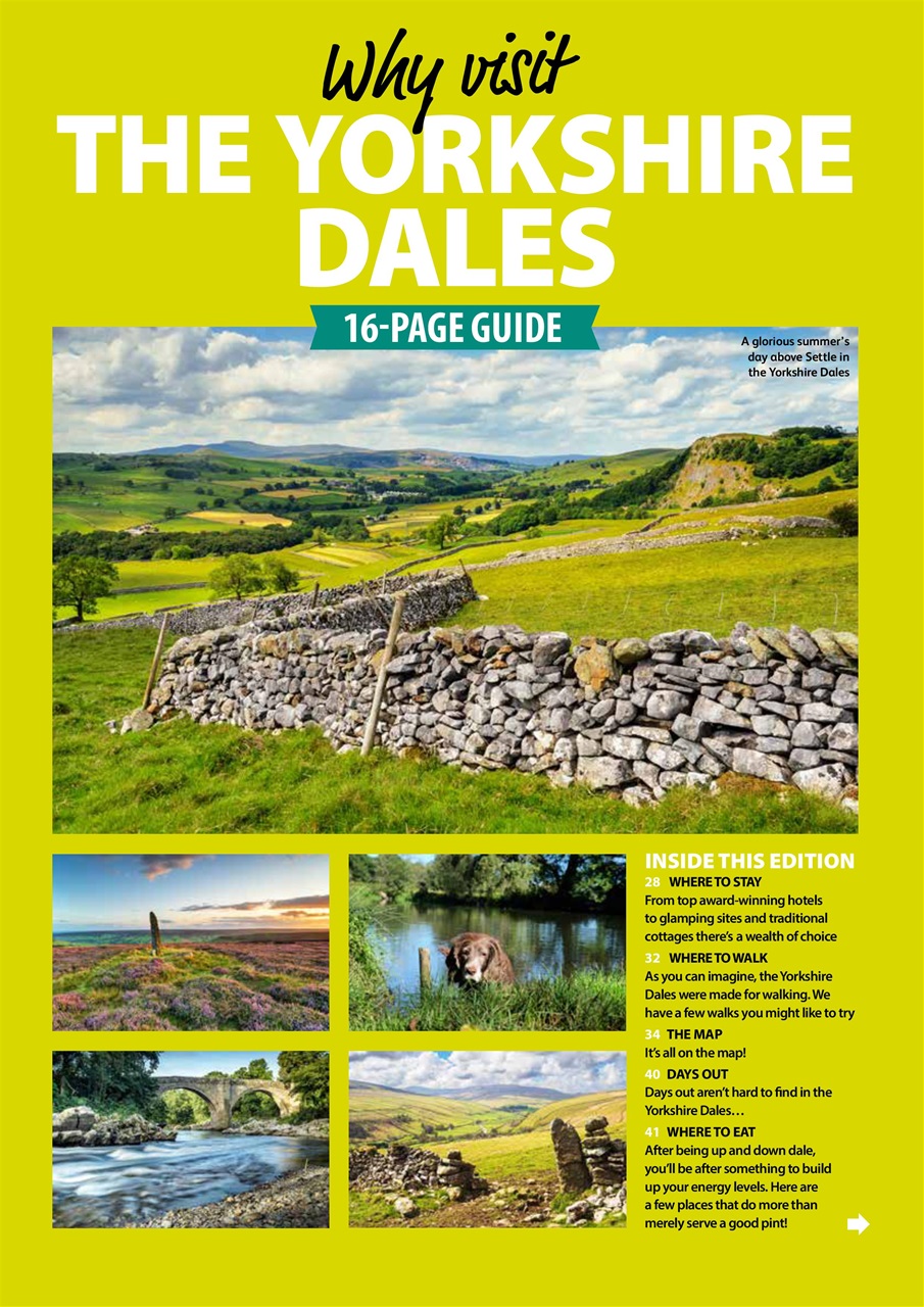 Dog Friendly Preview Pages