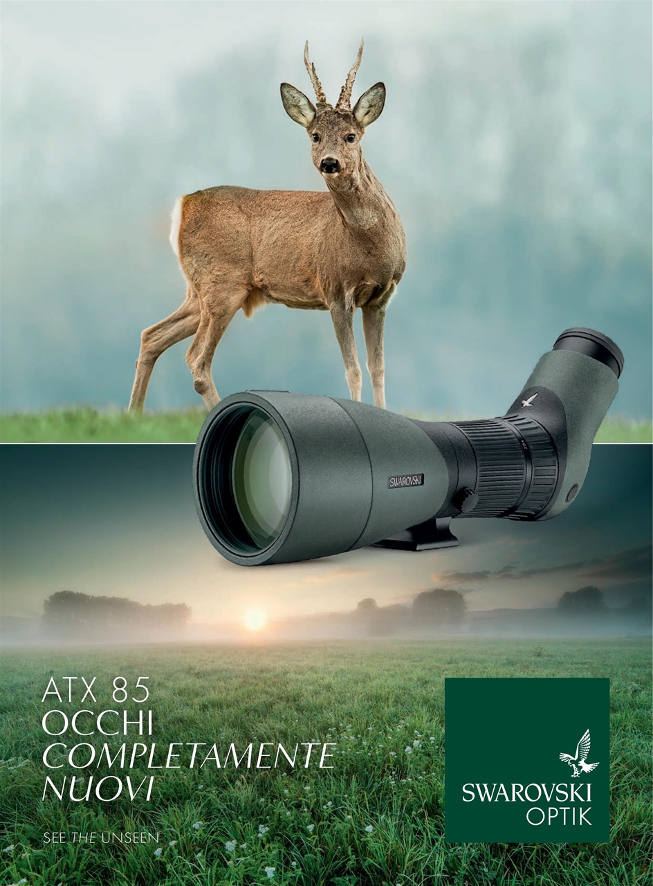 Caccia Magazine Preview Pages