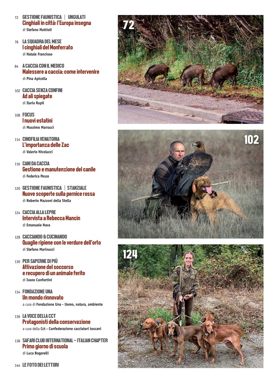 Caccia Magazine Preview Pages