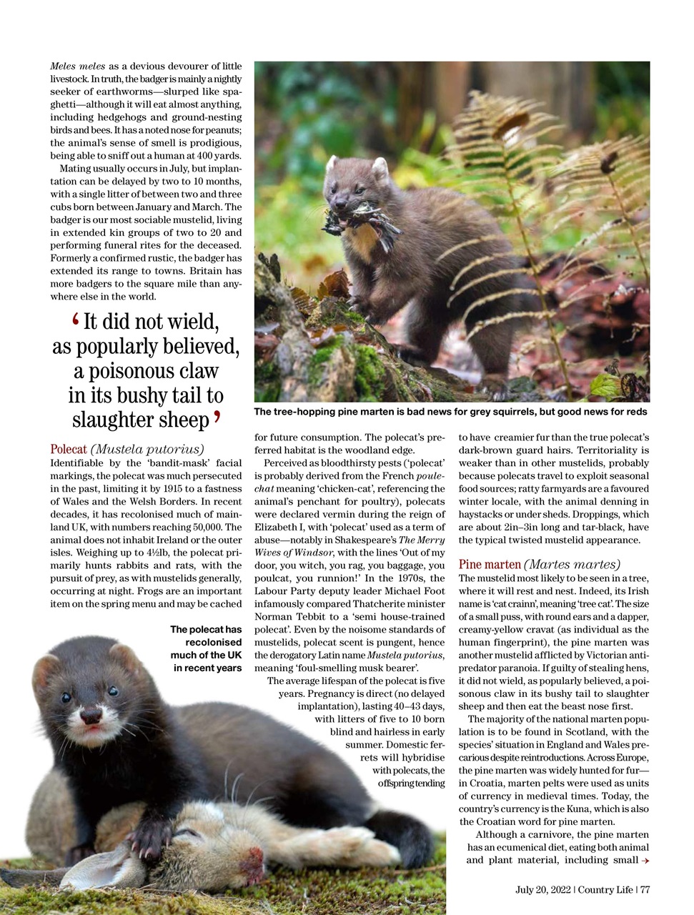 Country Life Preview Pages