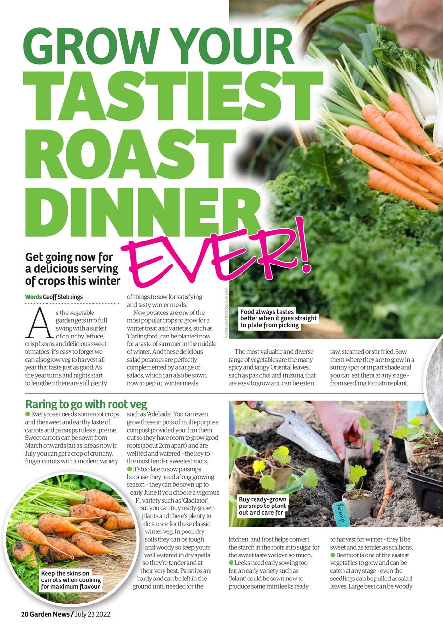 Garden News Preview Pages