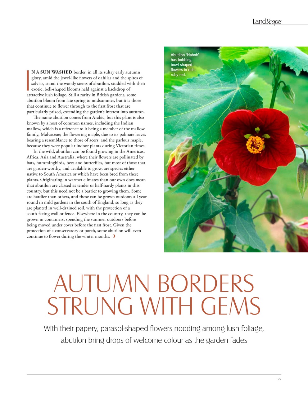 LandScape Preview Pages