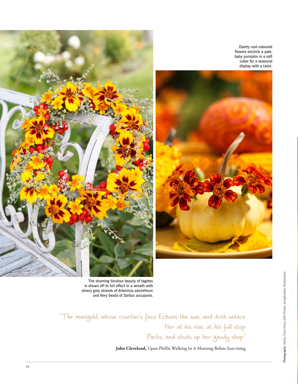 LandScape Preview Pages