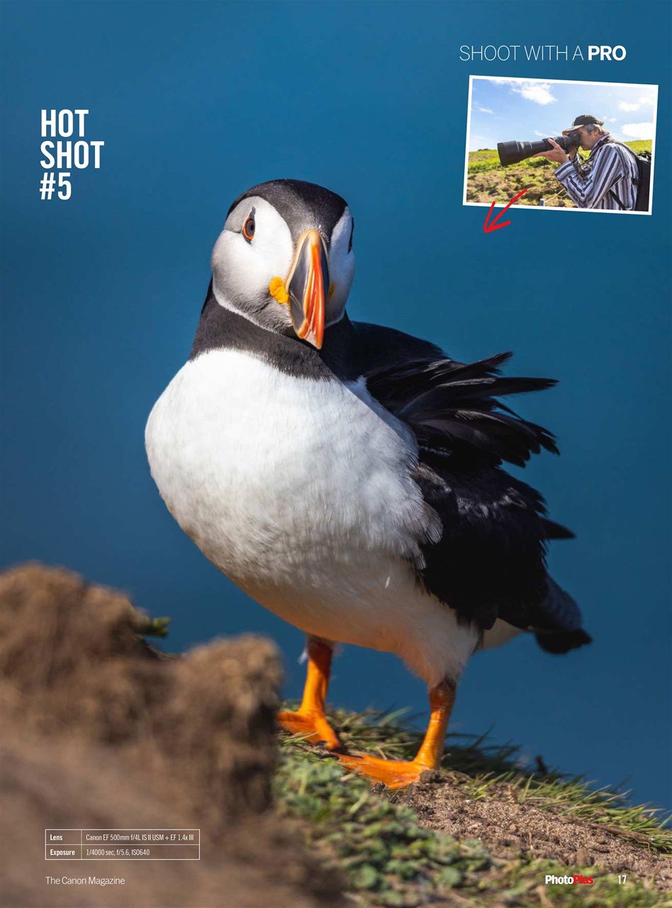 PhotoPlus Preview Pages