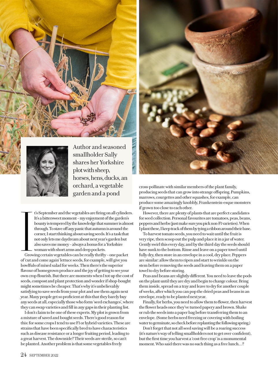 Country Living Preview Pages