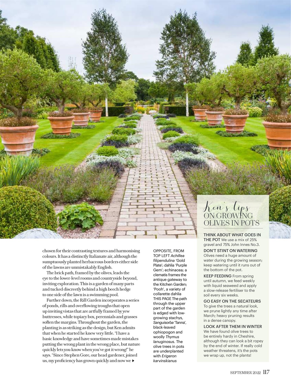 Country Living Preview Pages