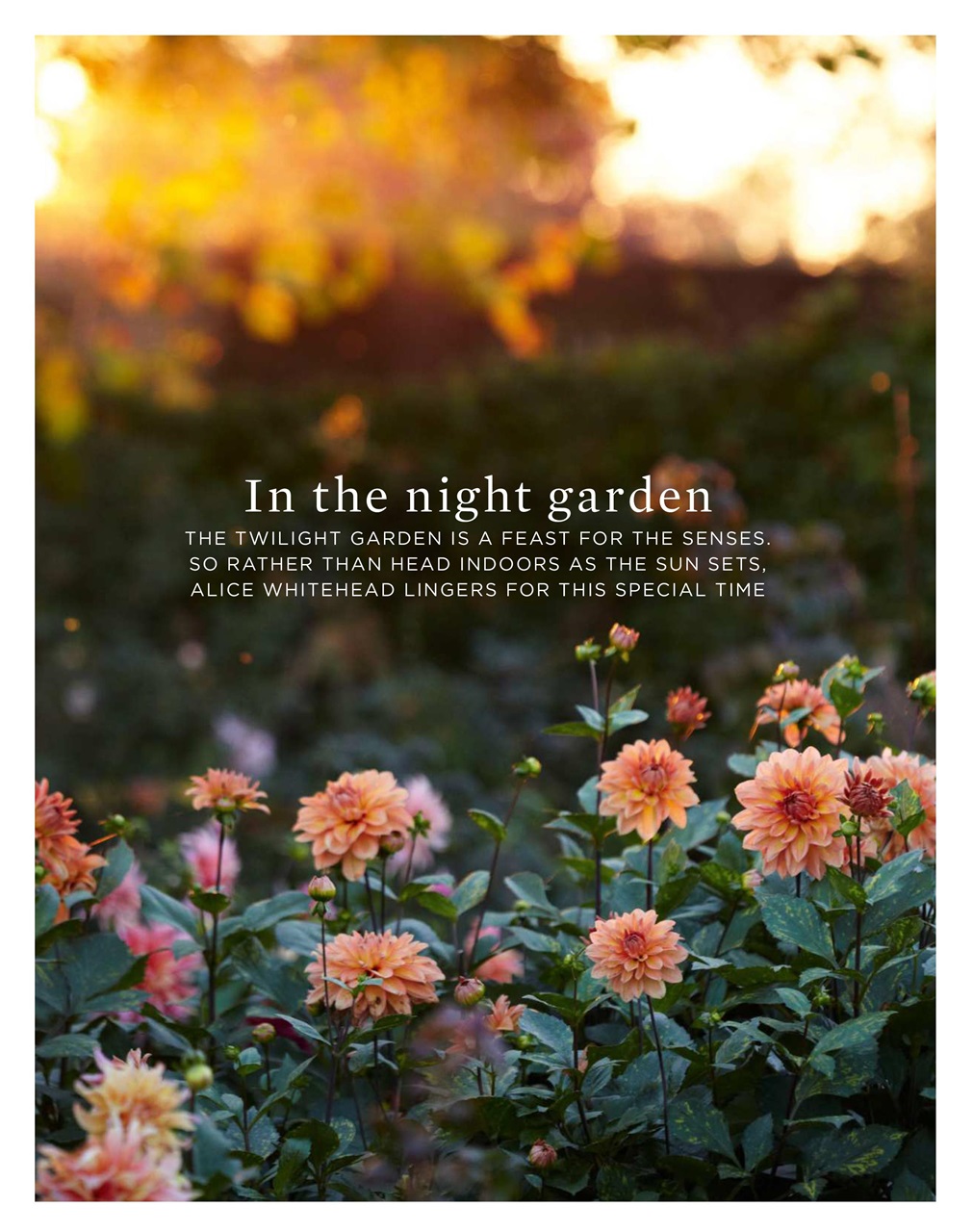 The Simple Things Preview Pages