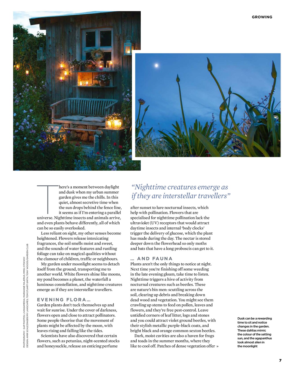 The Simple Things Preview Pages