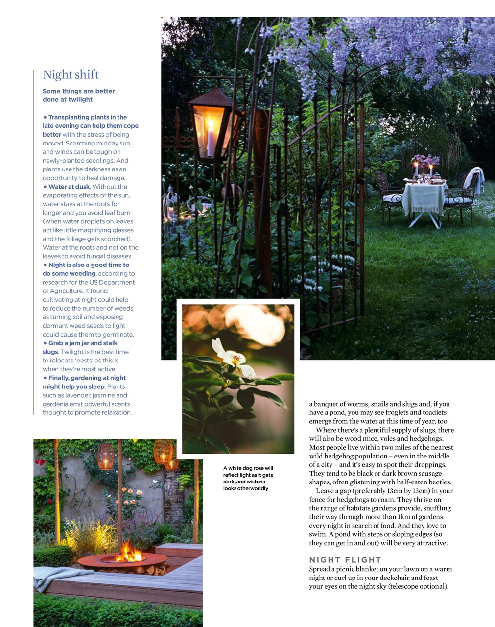 The Simple Things Preview Pages