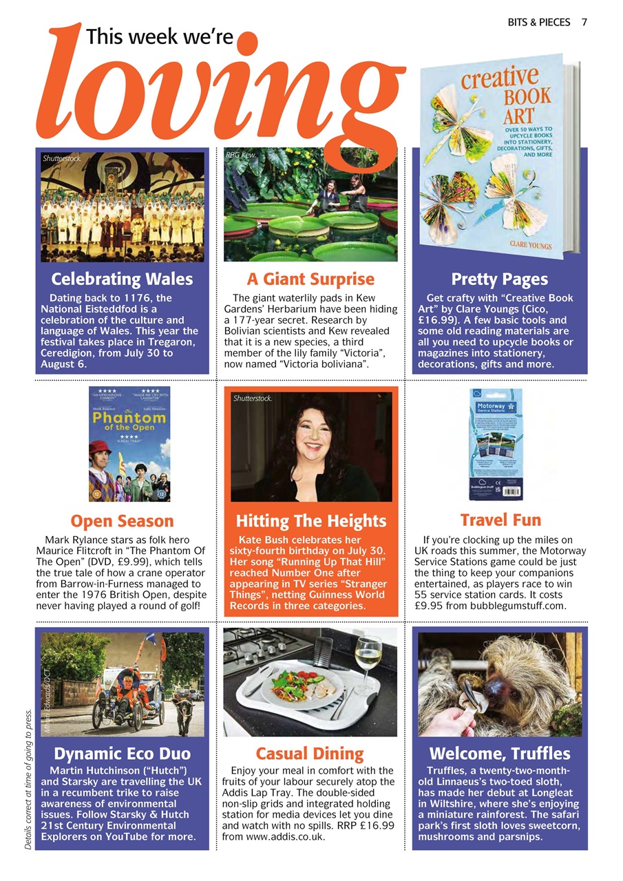 The People’s Friend Preview Pages