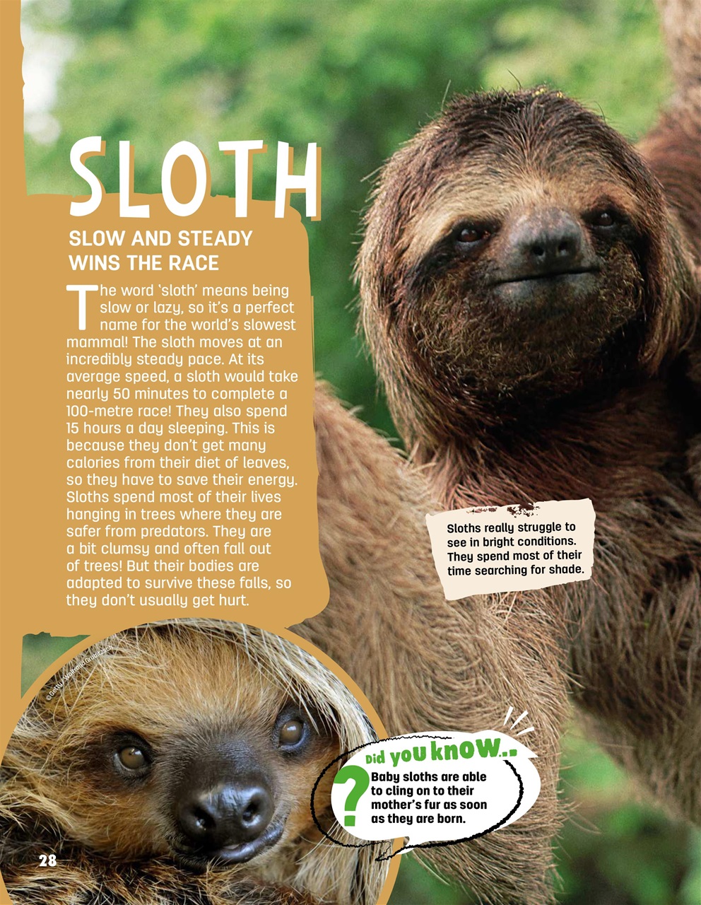 Creative Bookazine Preview Pages