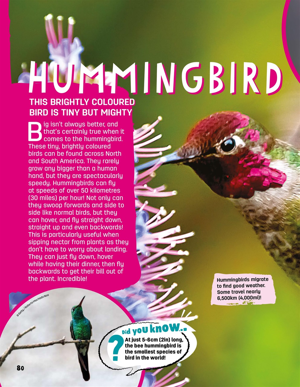 Creative Bookazine Preview Pages