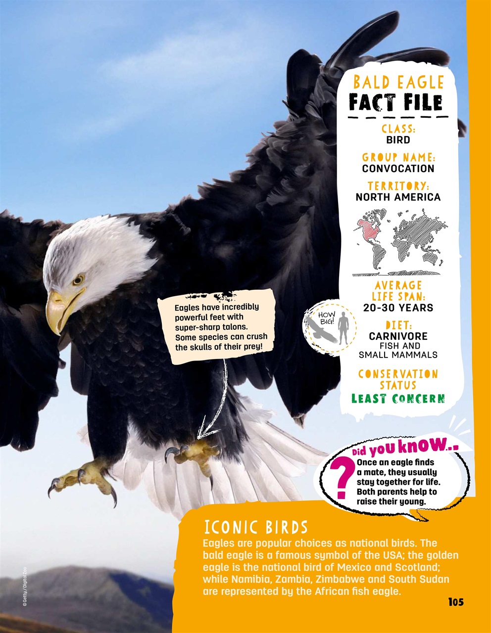 Creative Bookazine Preview Pages