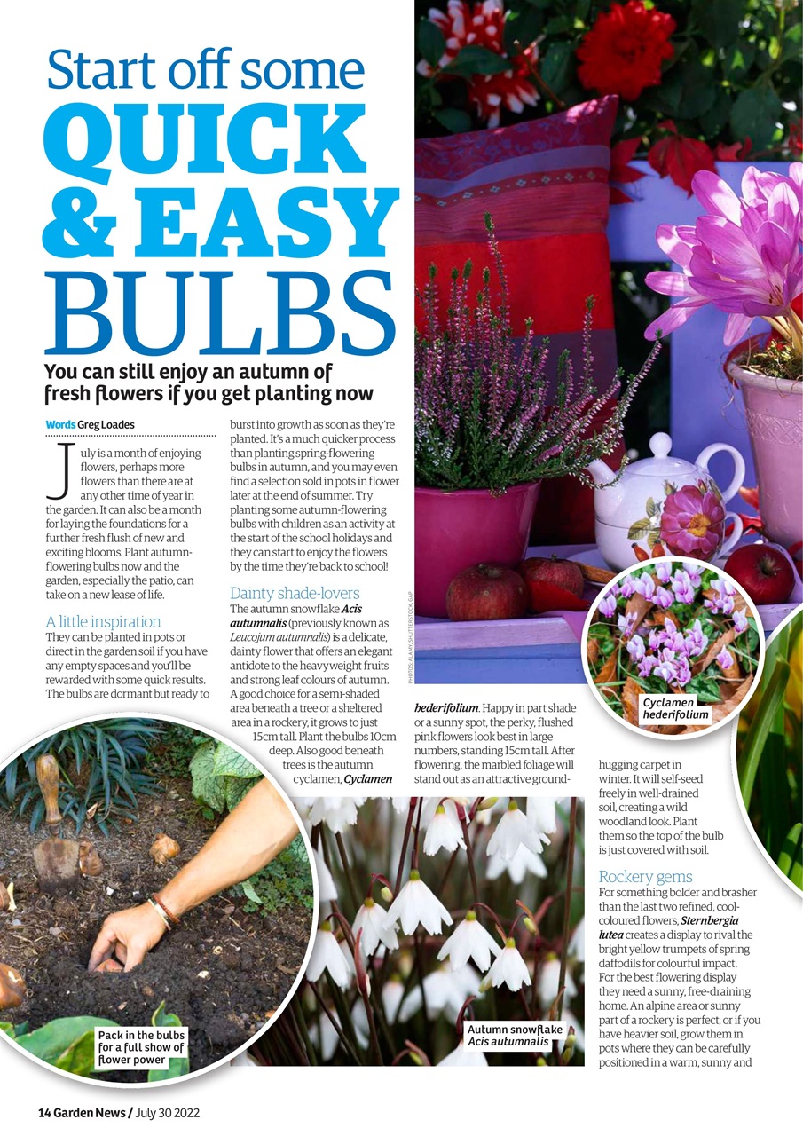 Garden News Preview Pages