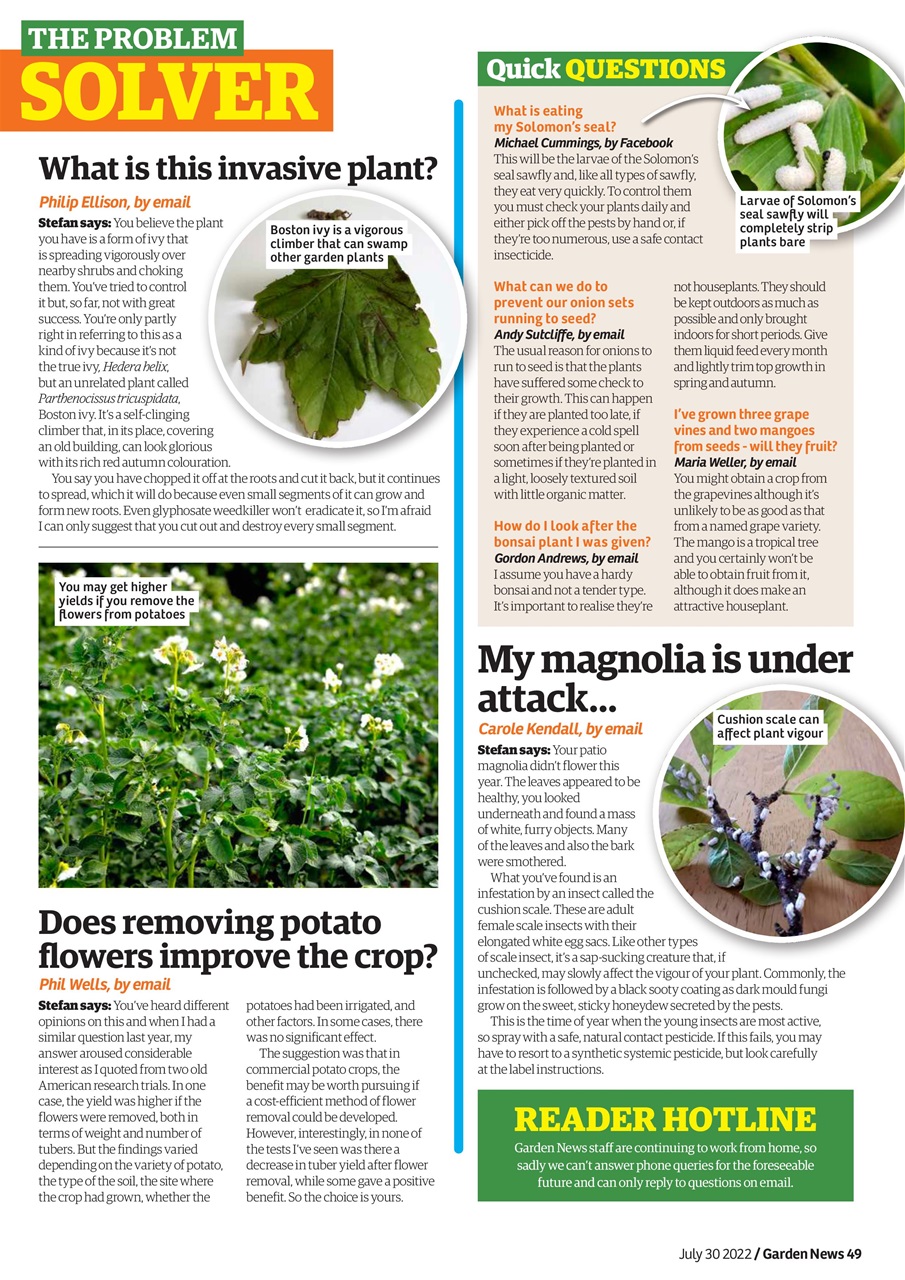 Garden News Preview Pages