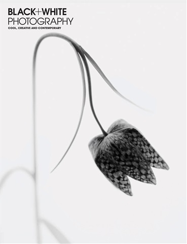 Black+White Photography issue Issue 268