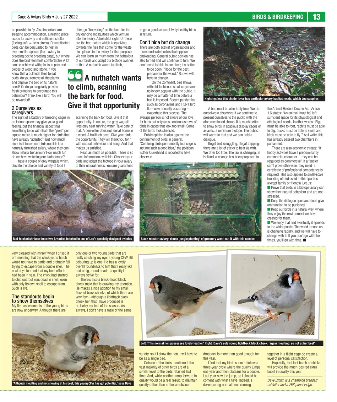 Cage & Aviary Birds Preview Pages