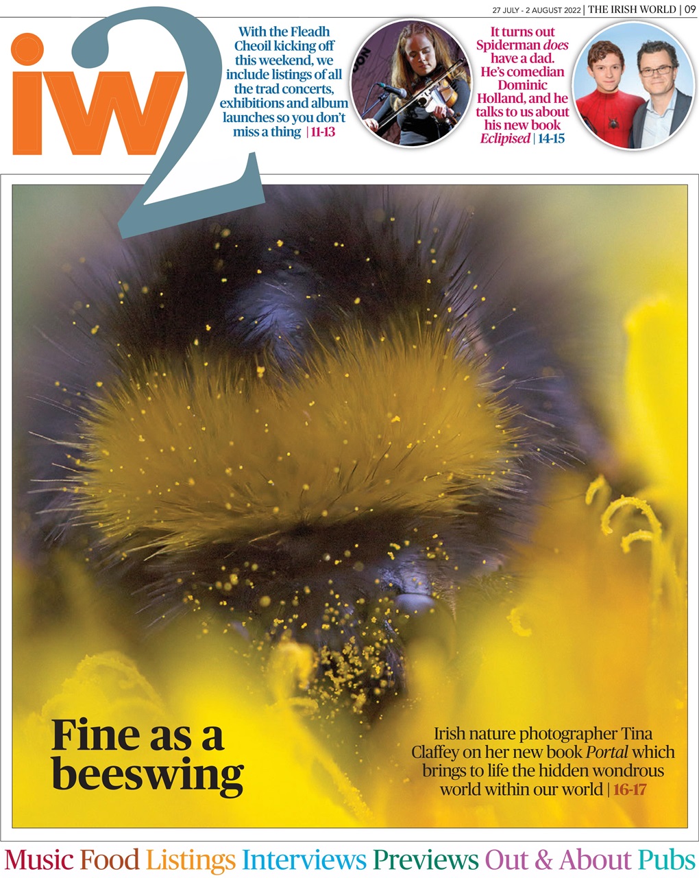 Irish World Preview Pages