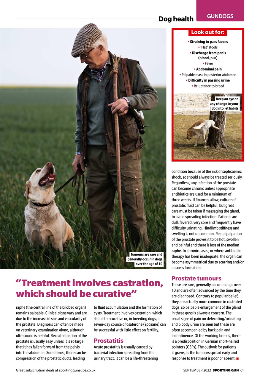 Sporting Gun Preview Pages