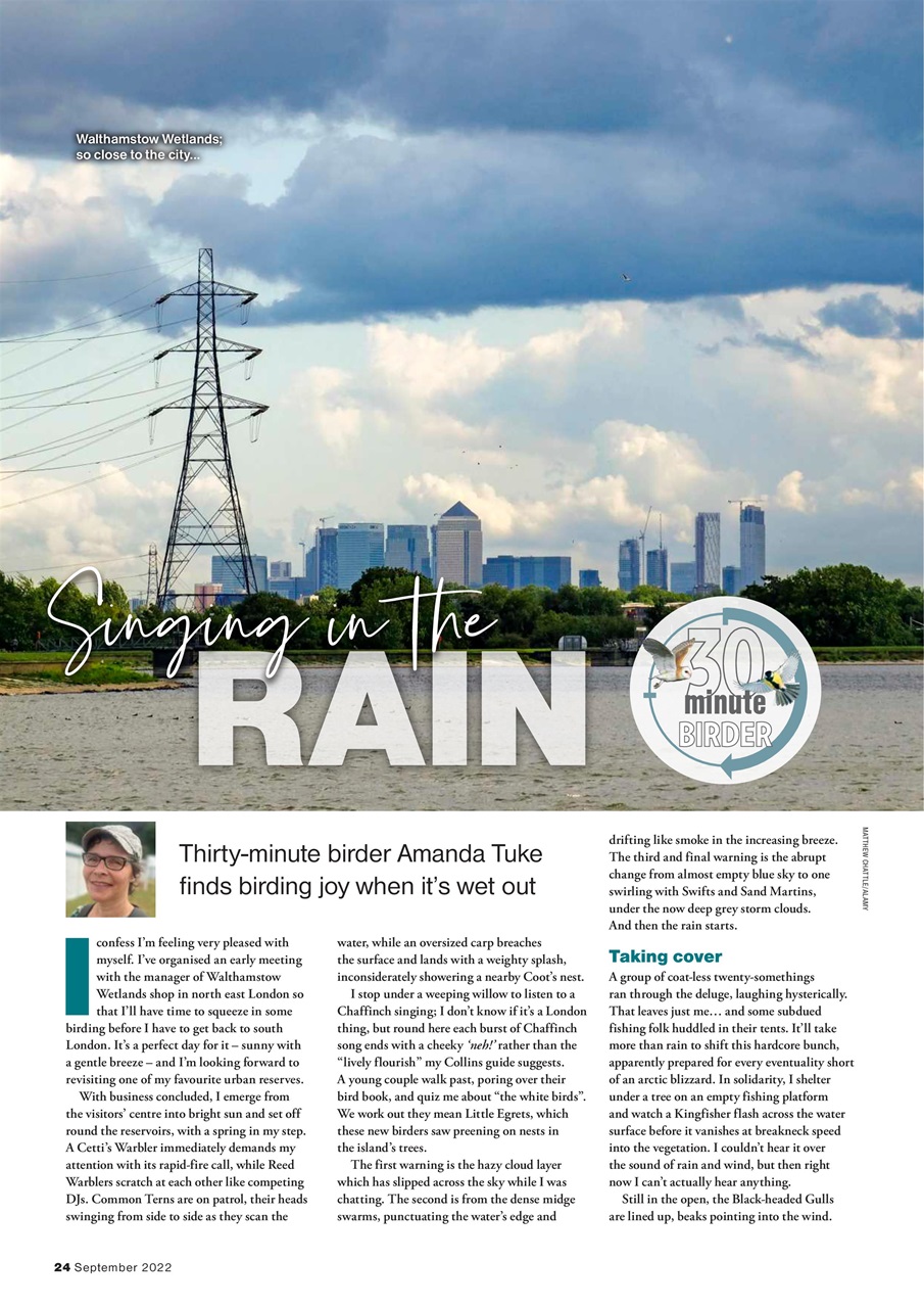 Bird Watching Preview Pages