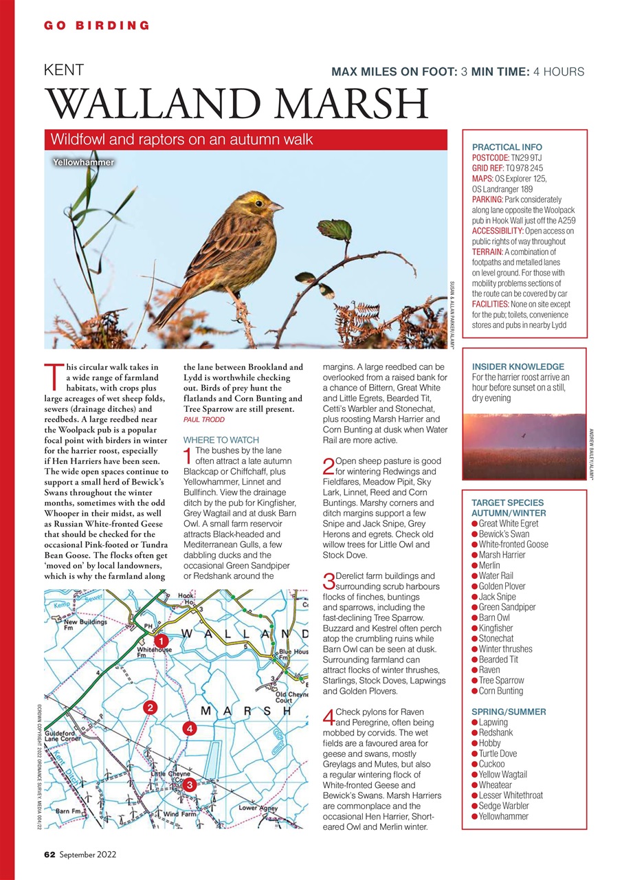 Bird Watching Preview Pages