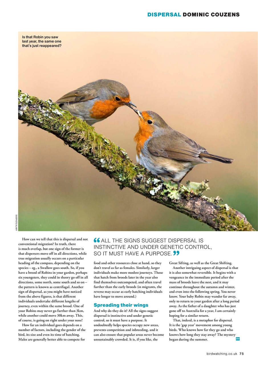 Bird Watching Preview Pages
