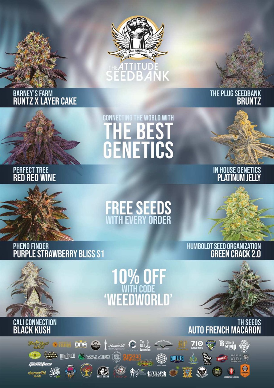 Weed World Preview Pages