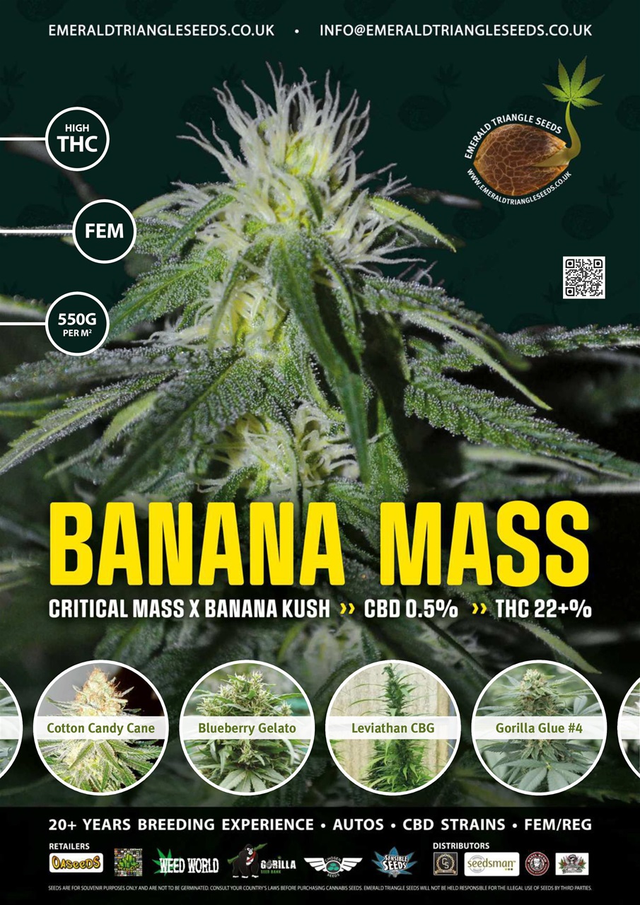 Weed World Preview Pages