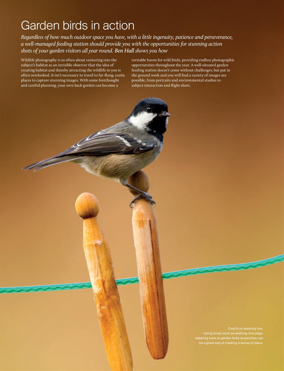 Outdoor Photography Preview Pages