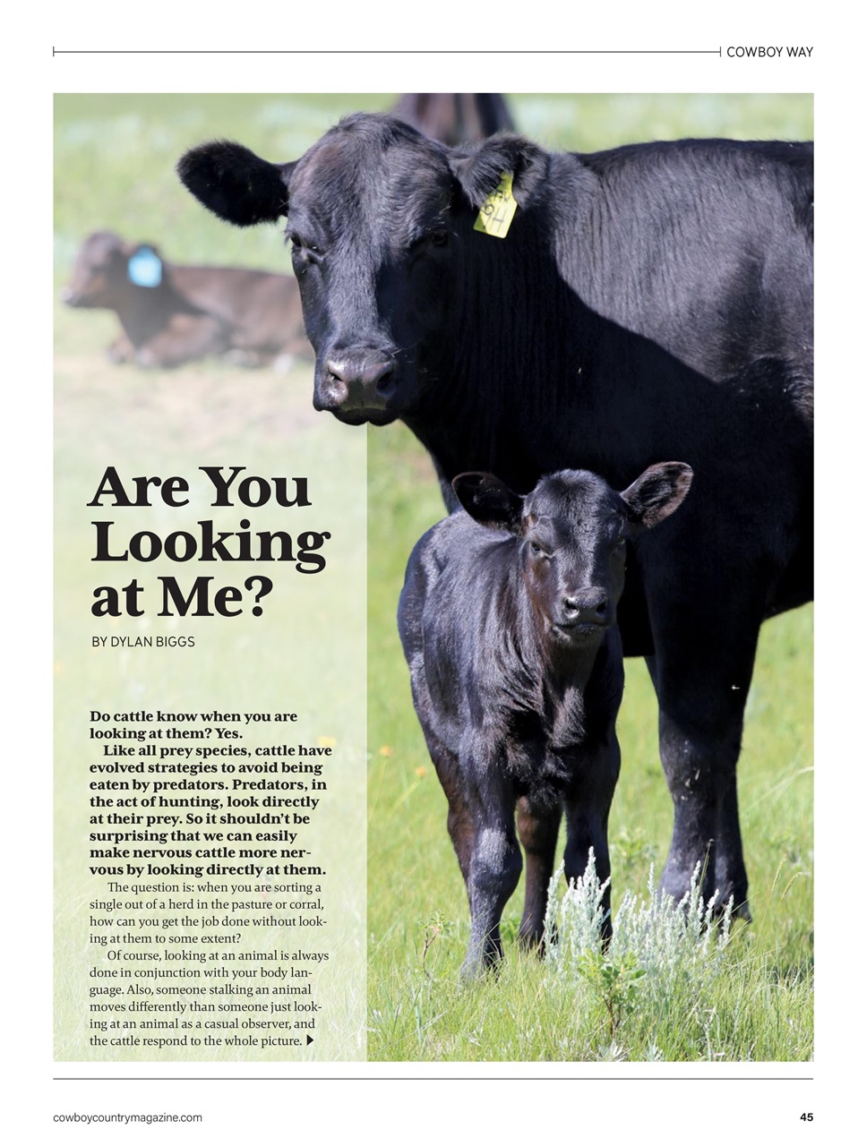 Canadian Cowboy Country Preview Pages