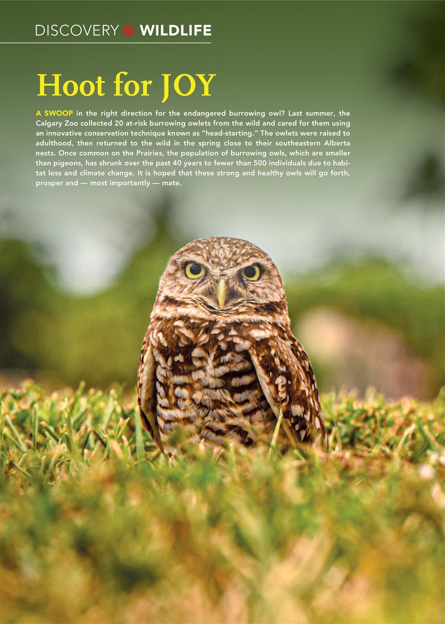 Canadian Geographic Preview Pages