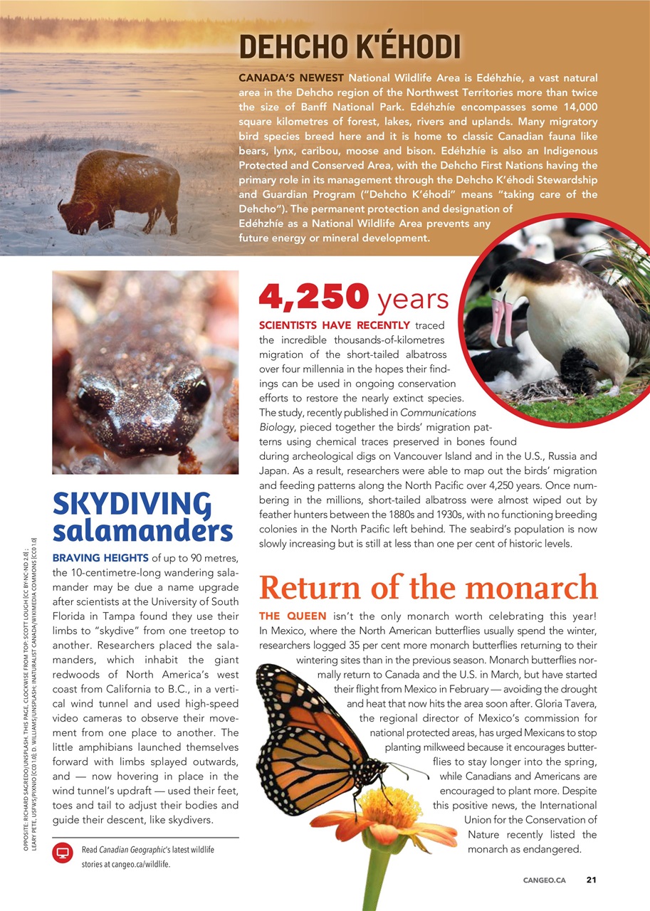 Canadian Geographic Preview Pages