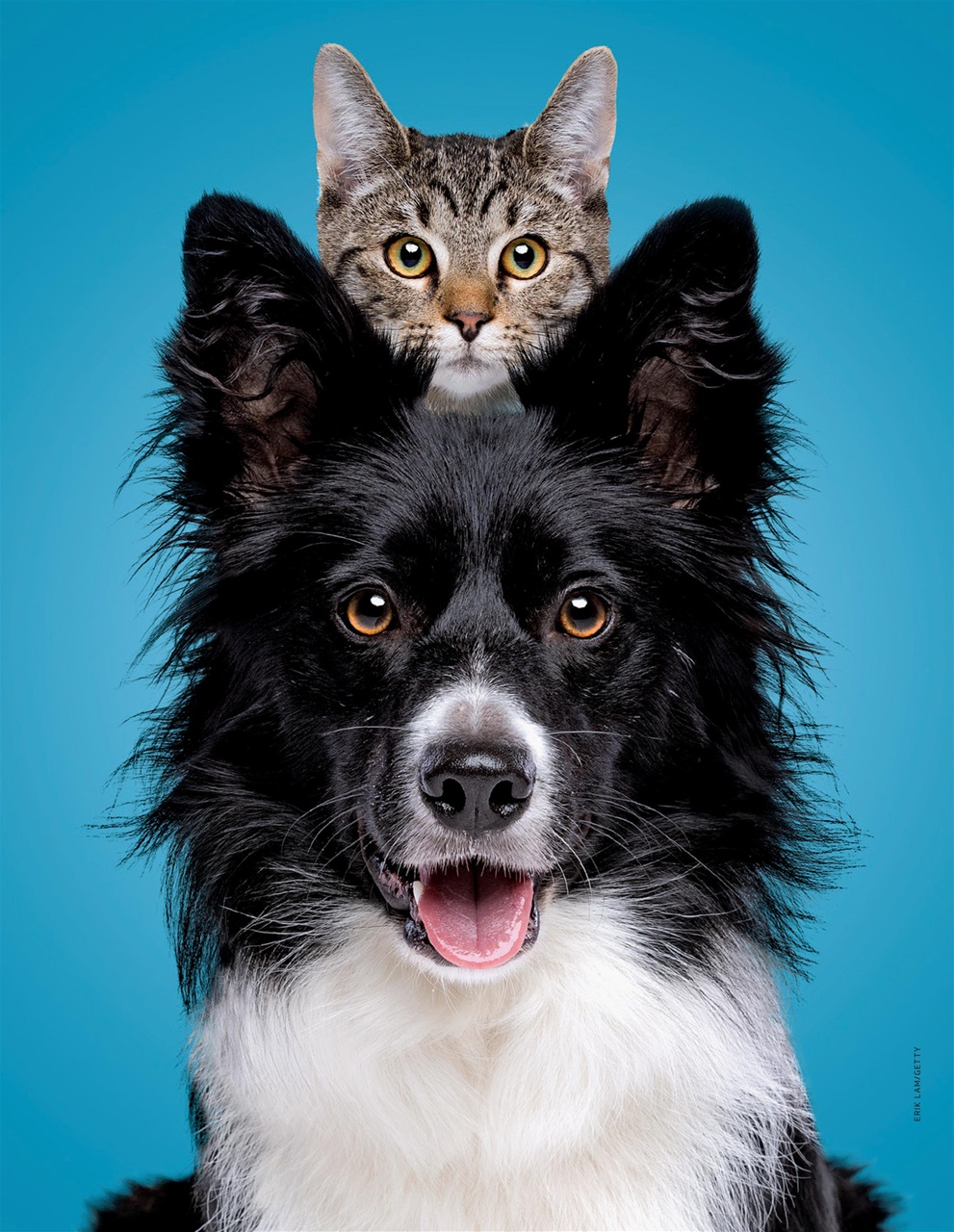 Newsweek International Preview Pages