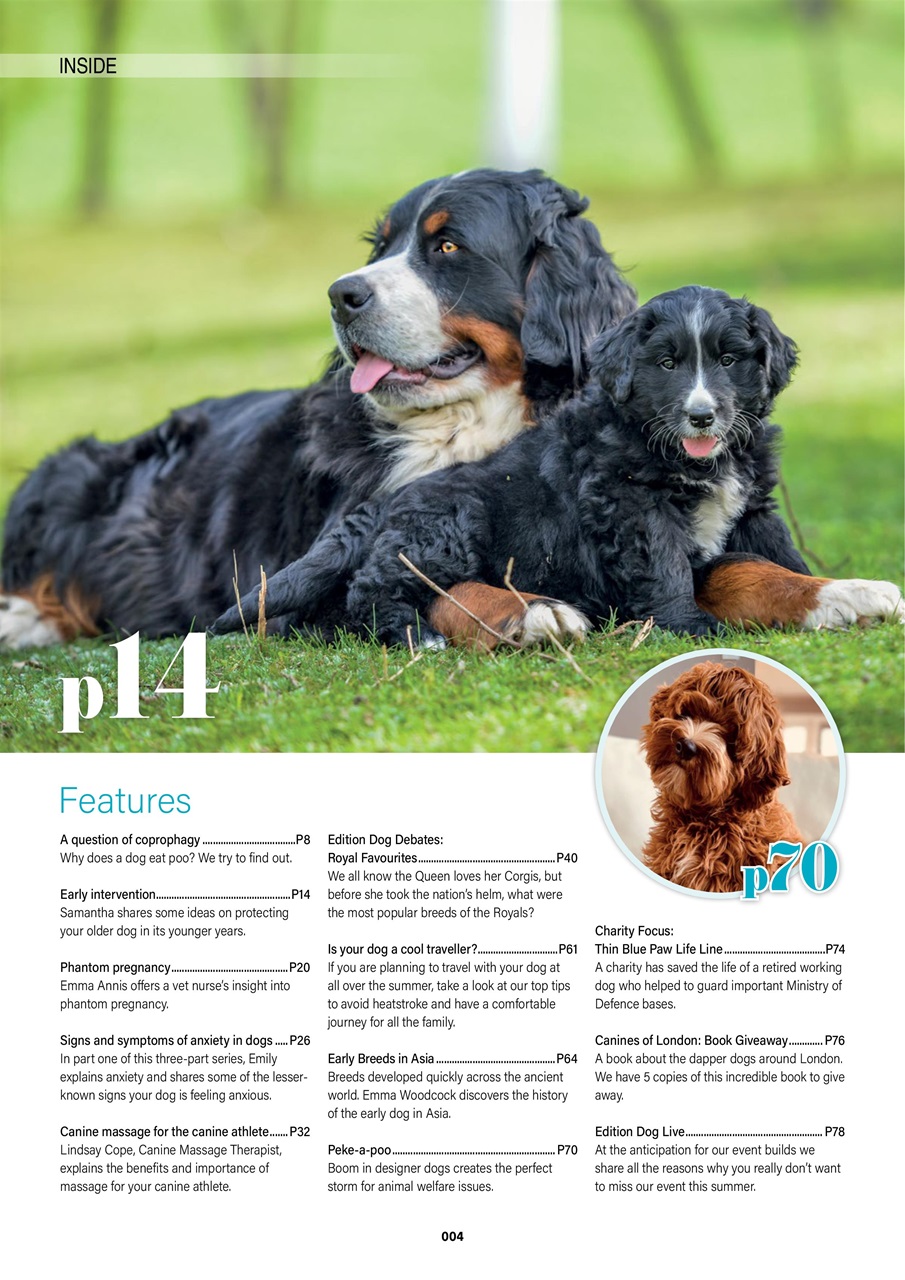 Edition Dog Preview Pages