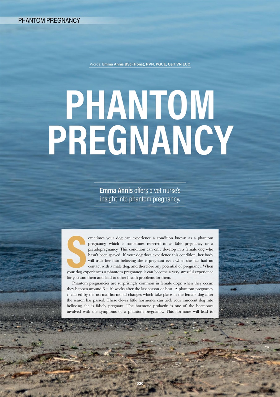 Edition Dog Preview Pages