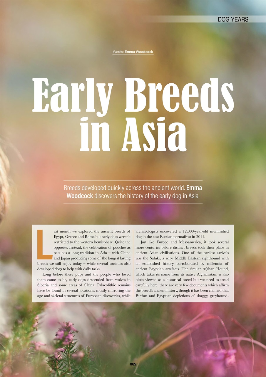 Edition Dog Preview Pages